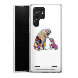 Carry Case Single Transparent