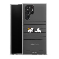 New Carry Case Hülle Transparent