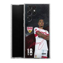 Carry Case Hülle Transparent/glitter ohne Band