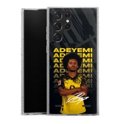 Carry Case Hülle Transparent/glitter ohne Band