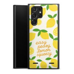 Premium Carry Case Single Matt black