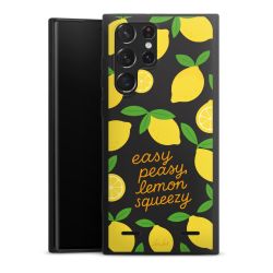 Premium Carry Case Single Matt black