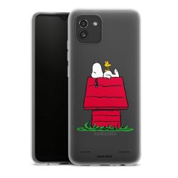 Carry Case Single Transparent