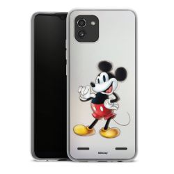 Carry Case Single Transparent