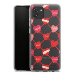 Carry Case Single Transparent