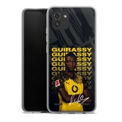 New Carry Case Hülle Transparent