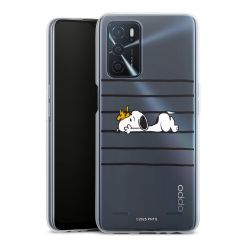 Carry Case Single Transparent