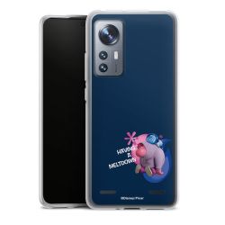 Carry Case Single Transparent