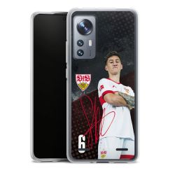 Carry Case Hülle Transparent ohne Band