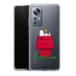 New Carry Case Hülle Transparent