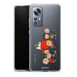 Carry Case Single Transparent