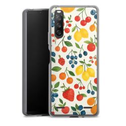 Carry Case Single Transparent