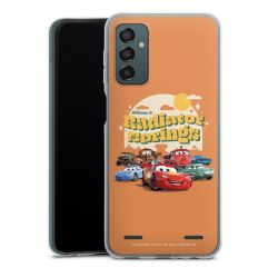 Carry Case Single Transparent