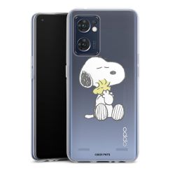 Carry Case Single Transparent