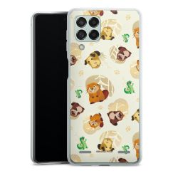 Carry Case Single Transparent