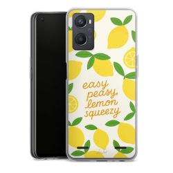 Carry Case Single Transparent