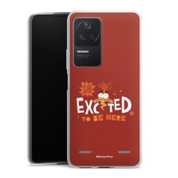 Carry Case Single Transparent