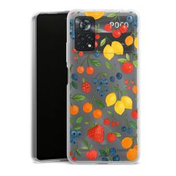 Carry Case Single Transparent