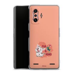 Carry Case Single Transparent