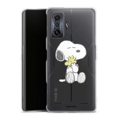 Carry Case Single Transparent