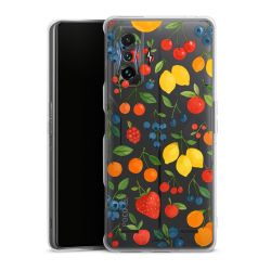 Carry Case Single Transparent