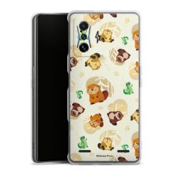 Carry Case Single Transparent