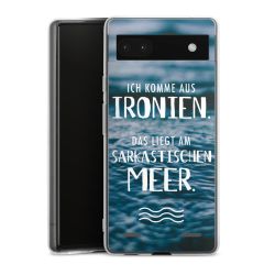 Carry Case Hülle Transparent ohne Band