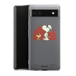 Carry Case Single Transparent