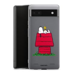 New Carry Case Hülle Transparent