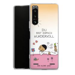 Carry Case Hülle Transparent ohne Band