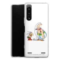 Carry Case Hülle Transparent ohne Band