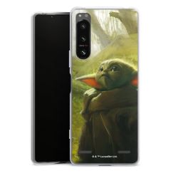 Carry Case Hülle Transparent ohne Band