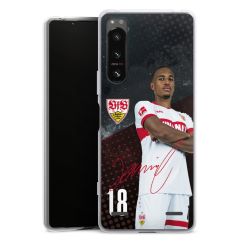 Carry Case Hülle Transparent ohne Band