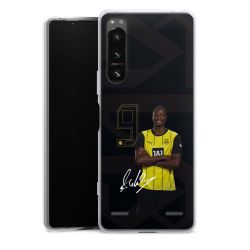 New Carry Case Hülle Transparent