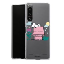 Carry Case Single Transparent