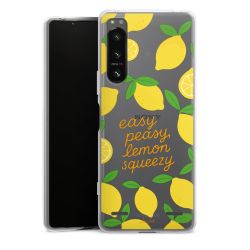 Carry Case Single Transparent