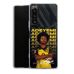 New Carry Case Hülle Transparent