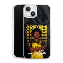 New Carry Case Hülle Transparent