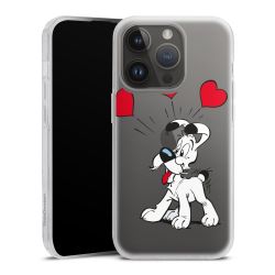 Carry Case Hülle Transparent ohne Band