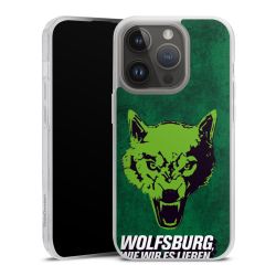 Carry Case Hülle Transparent ohne Band