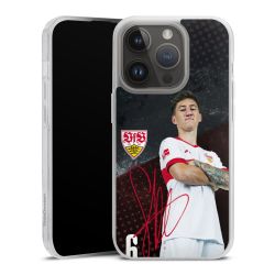 Carry Case Hülle Transparent ohne Band