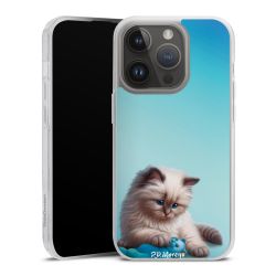 Carry Case Single Transparent