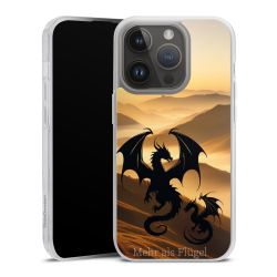 Carry Case Single Transparent