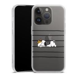 Carry Case Single Transparent