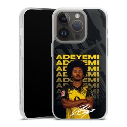 New Carry Case Hülle Transparent