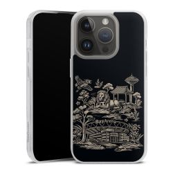 Carry Case Hülle Transparent ohne Band