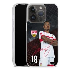 Carry Case Hülle Transparent ohne Band