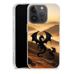 Carry Case Single Transparent