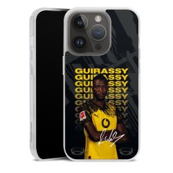 New Carry Case Hülle Transparent