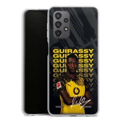 New Carry Case Hülle Transparent